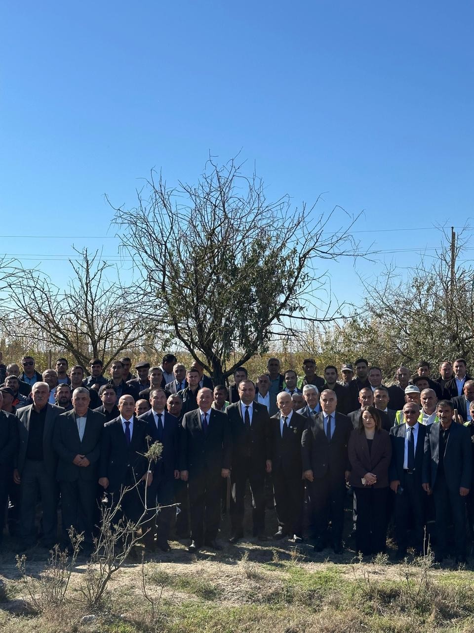 Beyləqanda növbəti ağacəkmə aksiyası keçirilib - FOTOLAR